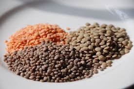 تصویر 5 از کنسرو عدسی 420 گرمی + قیمت خرید عمده